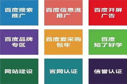 信息流广告代理案例对比分析